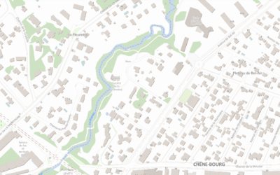 NON À LA SPÉCULATION IMMOBILIÈRE À SEYMAZ-SUD, À CHÊNE-BOURG !